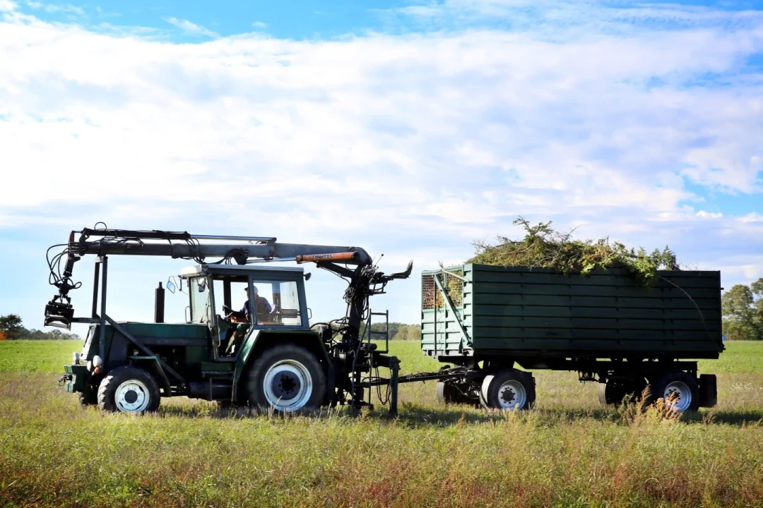 Ein Bild beim Abtransport der Grünabfälle mit Traktor