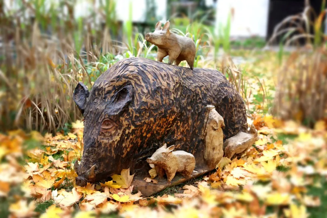 Ein Bild von einem mit der Motorsäge gecarvtem Wildschwein mit kleinen Ferkeln.